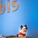 Ibis Hauptbahnhof Hotel