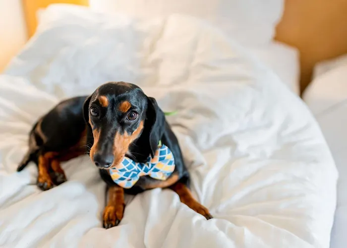 Hotel Ibis Hauptbahnhof 3*