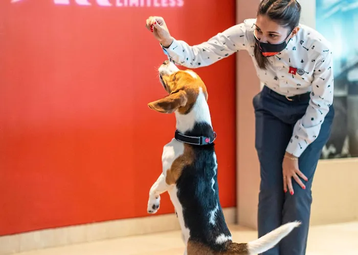 Hotell Ibis Hauptbahnhof 3*