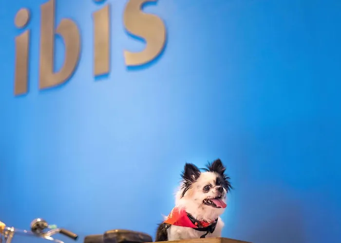 Ibis Hauptbahnhof Hotell