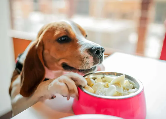 Hotell Ibis Hauptbahnhof